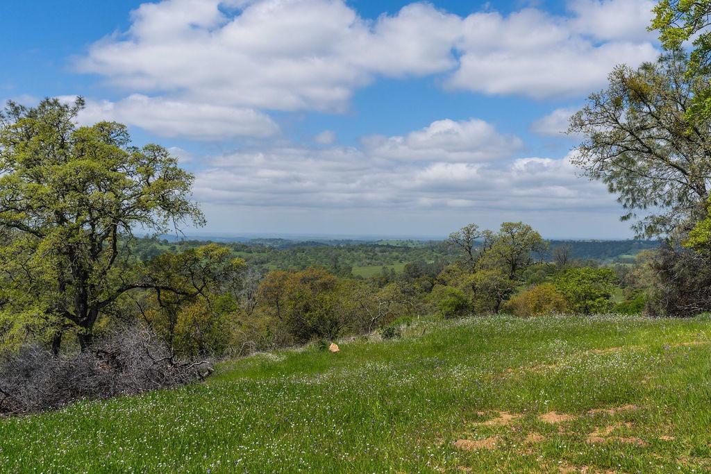 Highway 88, Sutter Creek, California image 9