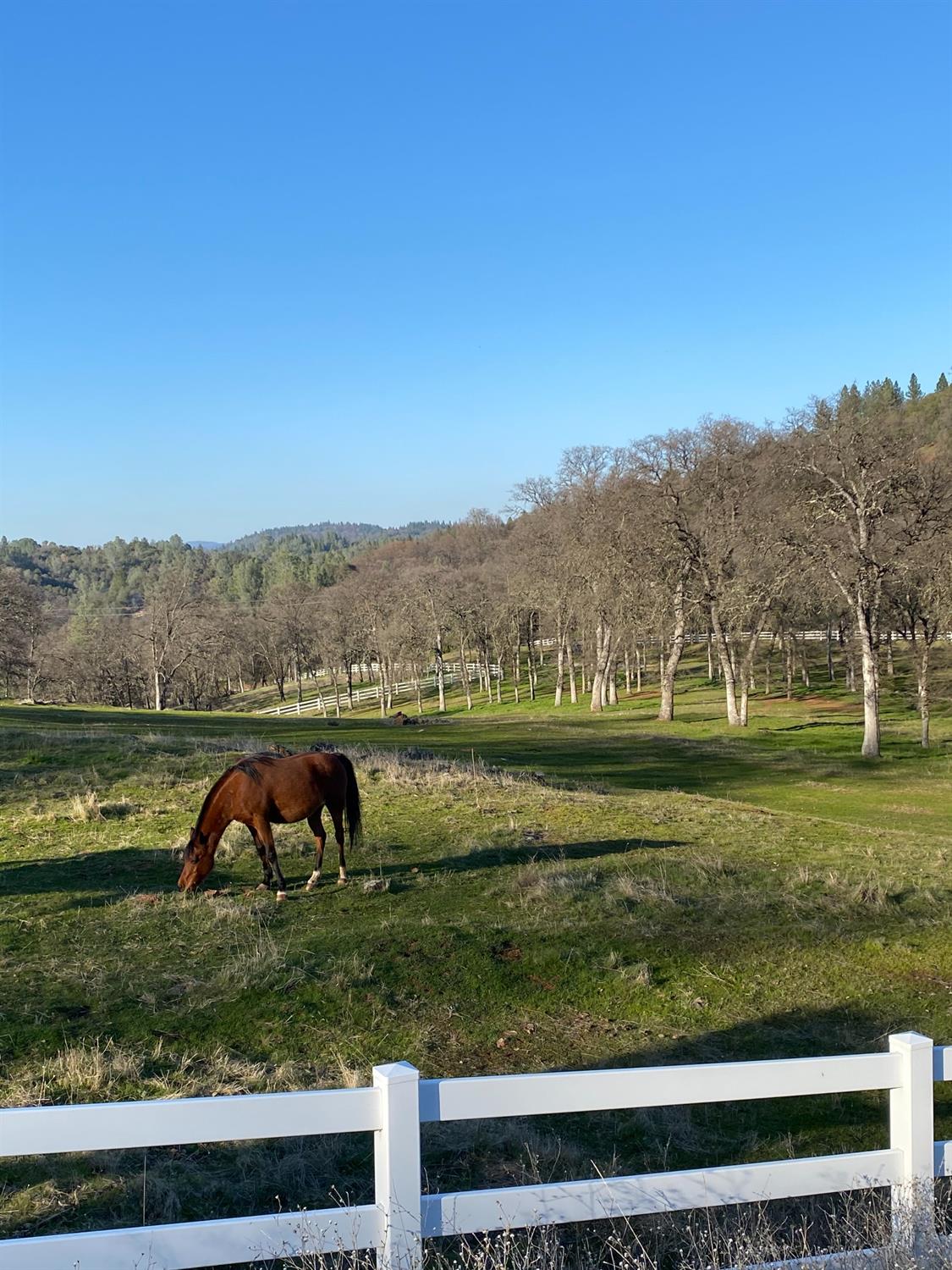 Detail Gallery Image 16 of 19 For 22498 Retherford Road, Auburn,  CA 95602 - – Beds | – Baths