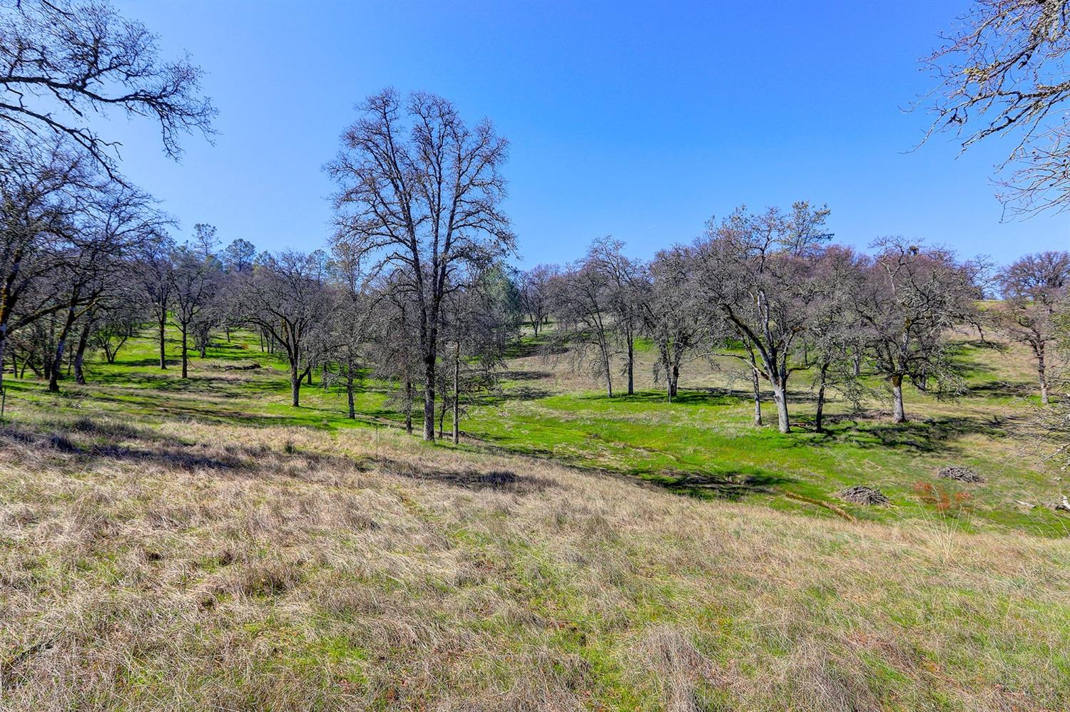 Detail Gallery Image 17 of 19 For 22498 Retherford Road, Auburn,  CA 95602 - – Beds | – Baths