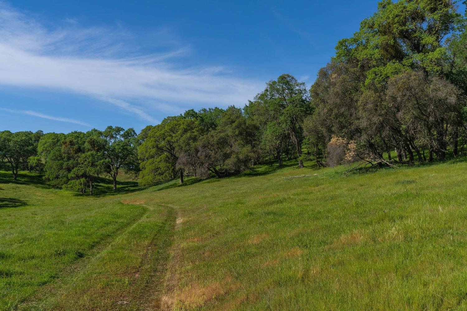 Highway 88, Sutter Creek, California image 37