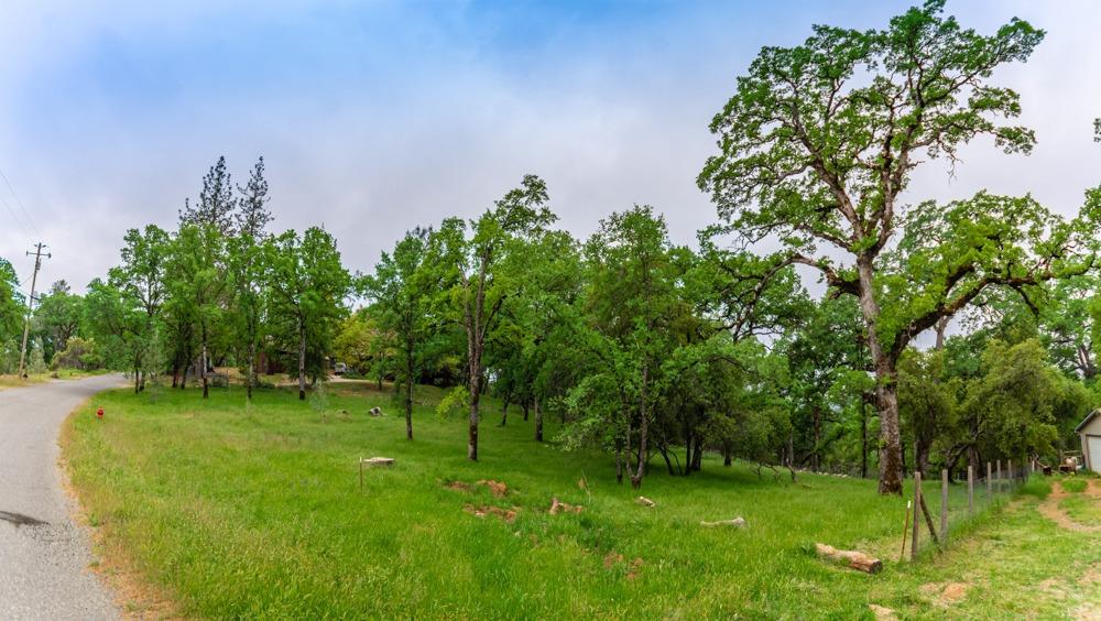 Pikes Peak Circle, Garden Valley, California image 9