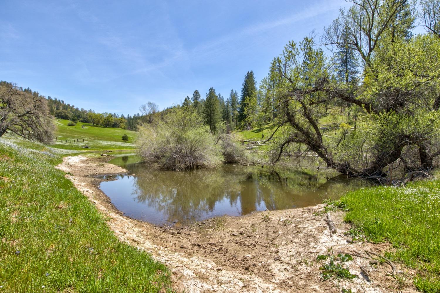 1n19, Long Barn, California image 49