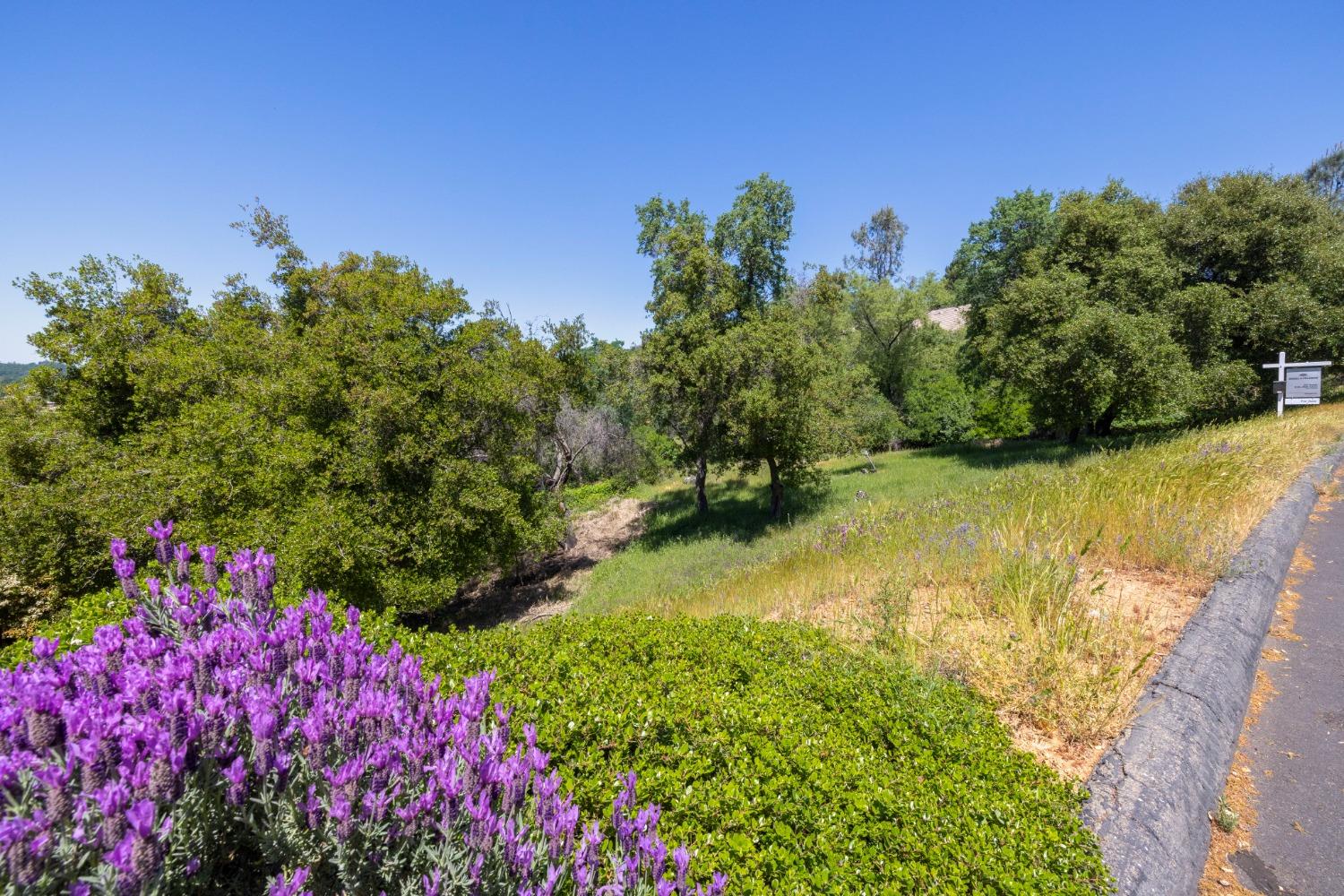 Photo of 825 Castec Wy in El Dorado Hills, CA