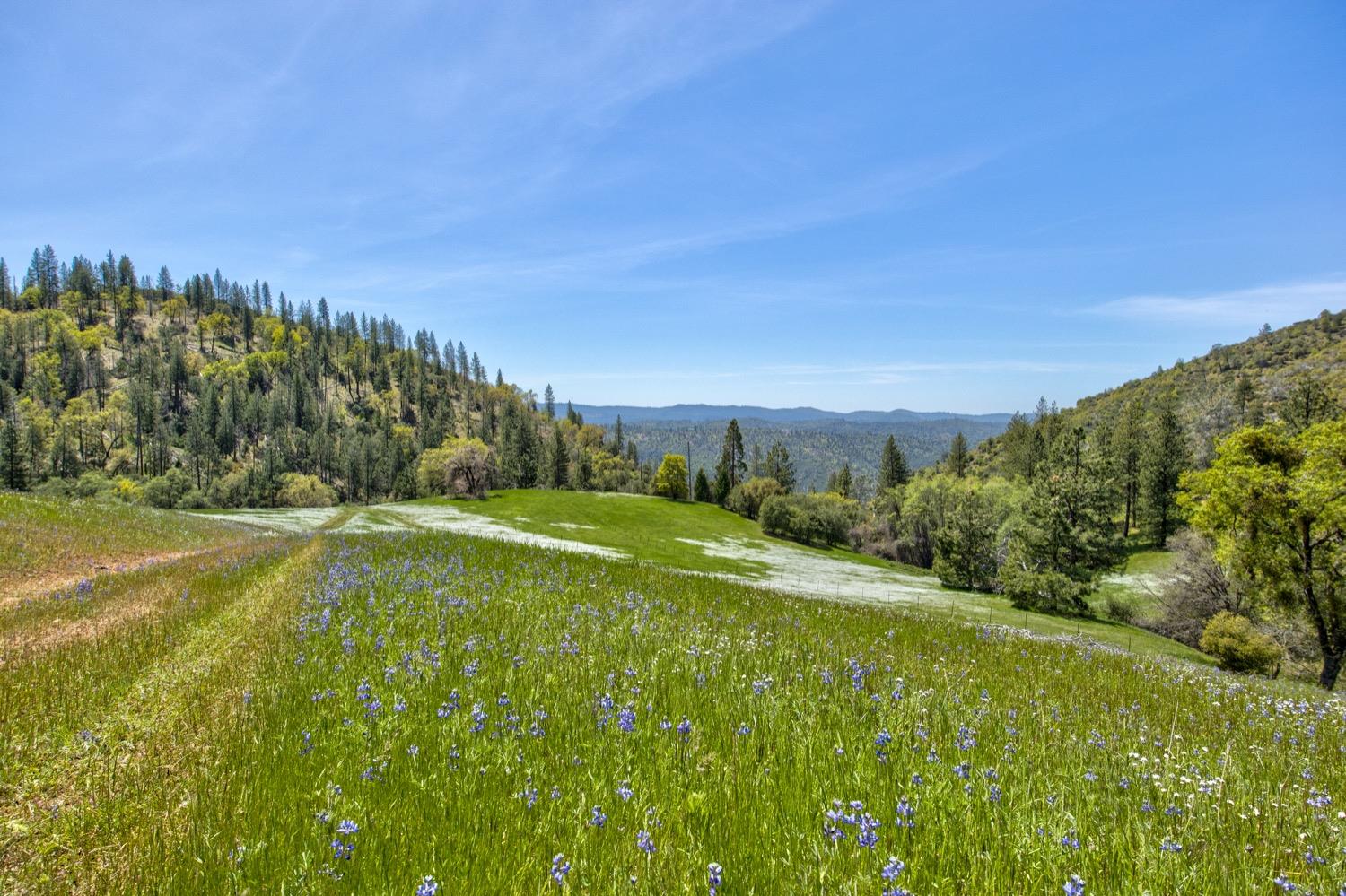 1n19, Long Barn, California image 12