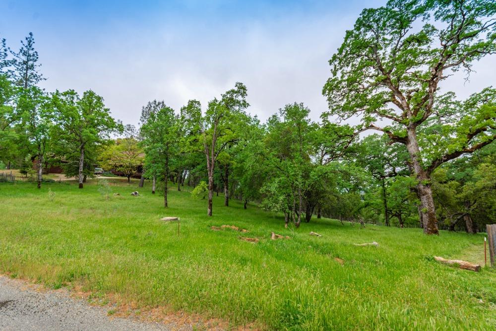 Pikes Peak Circle, Garden Valley, California image 3