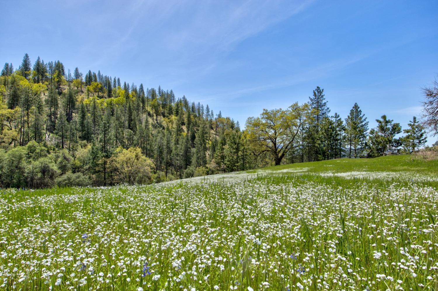 1n19, Long Barn, California image 10