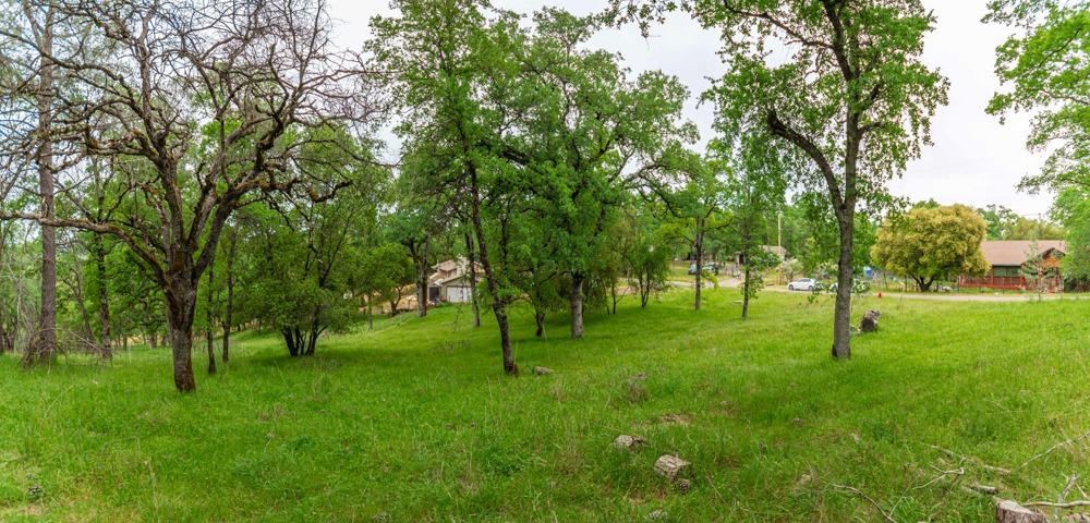 Pikes Peak Circle, Garden Valley, California image 4