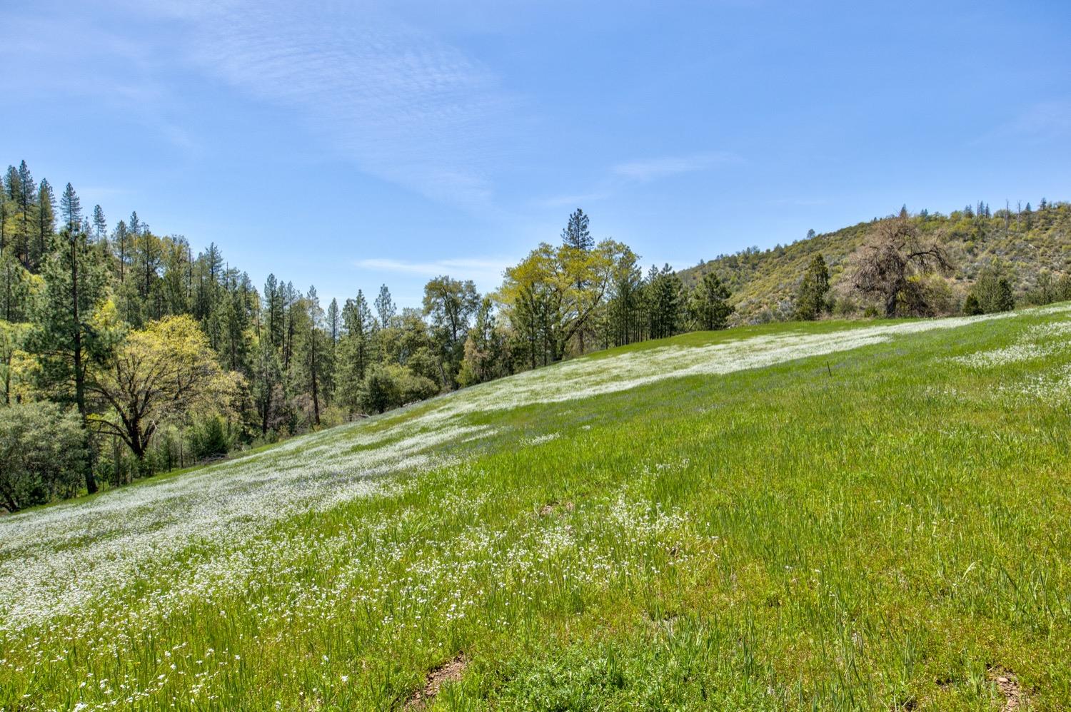 1n19, Long Barn, California image 41