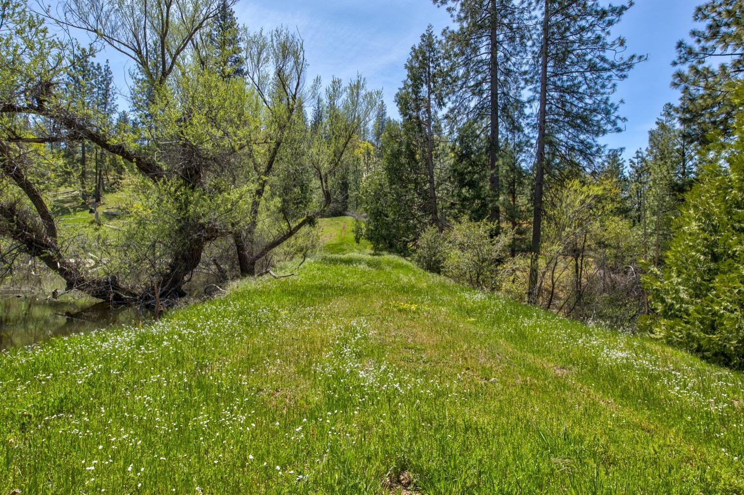 1n19, Long Barn, California image 50