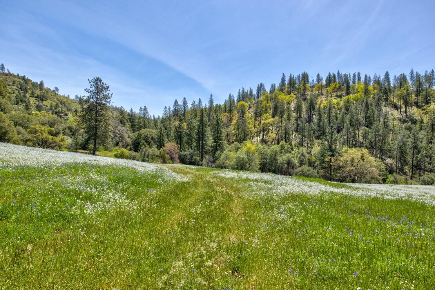 1n19, Long Barn, California image 8