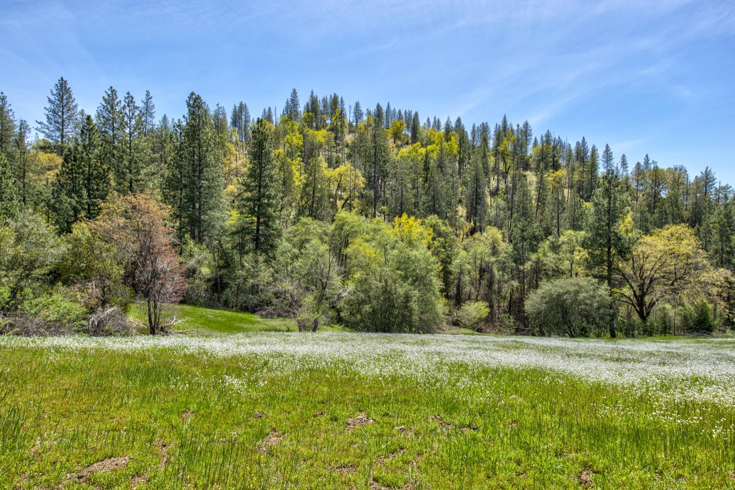 1n19, Long Barn, California image 40