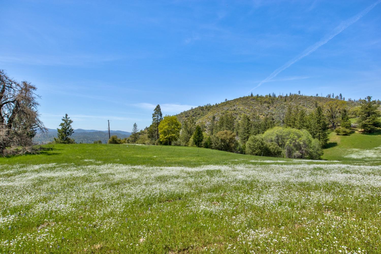 1n19, Long Barn, California image 7