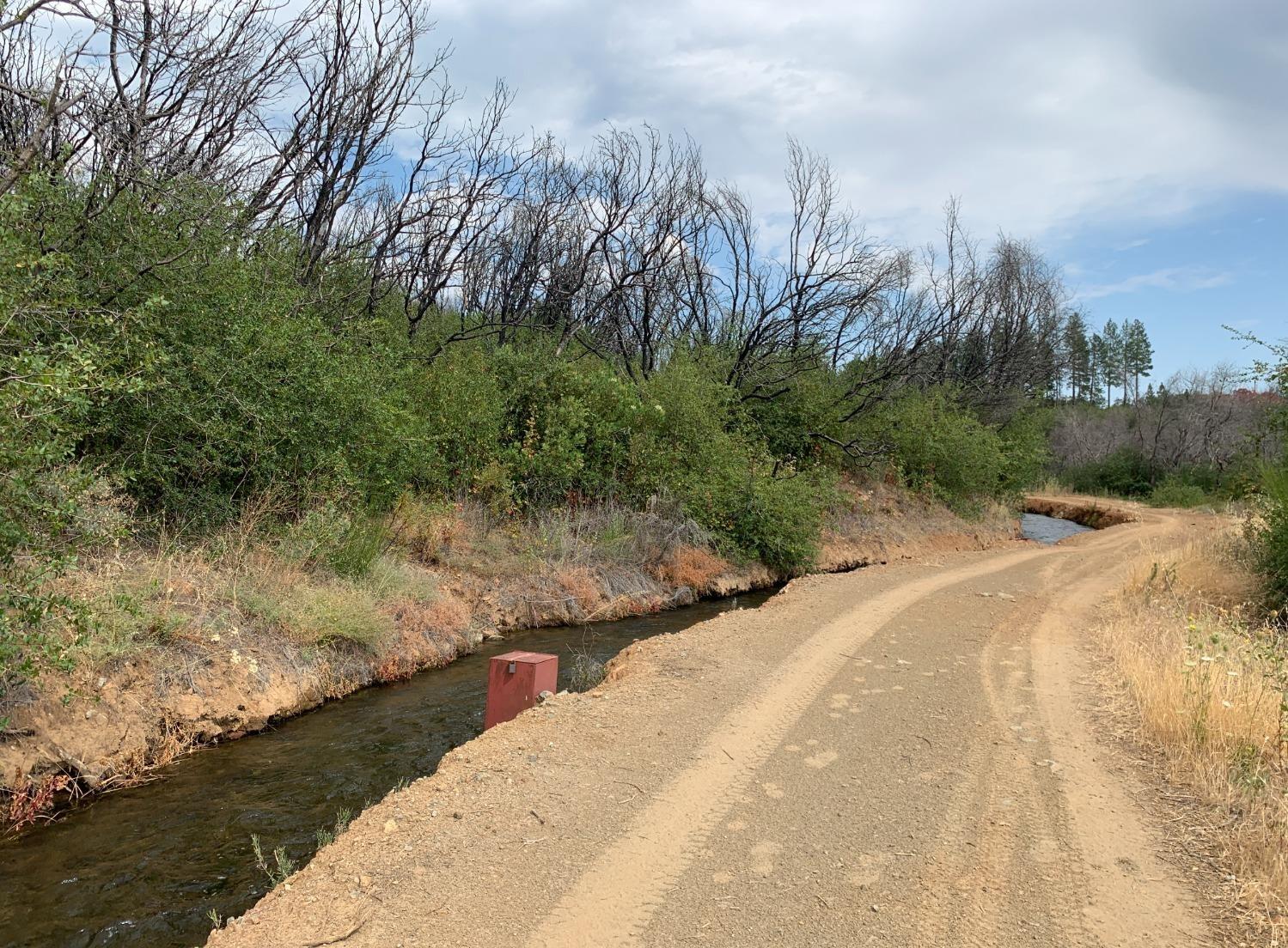 Bonanza Way, Rough and Ready, California image 4