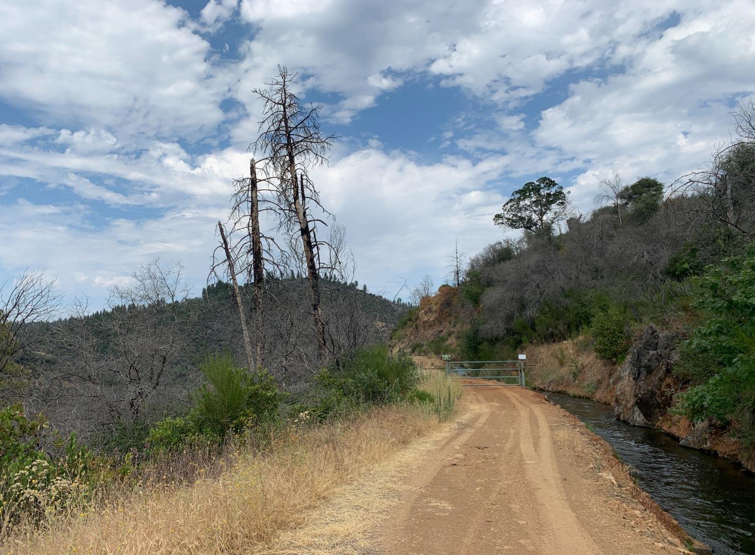 Bonanza Way, Rough and Ready, California image 3