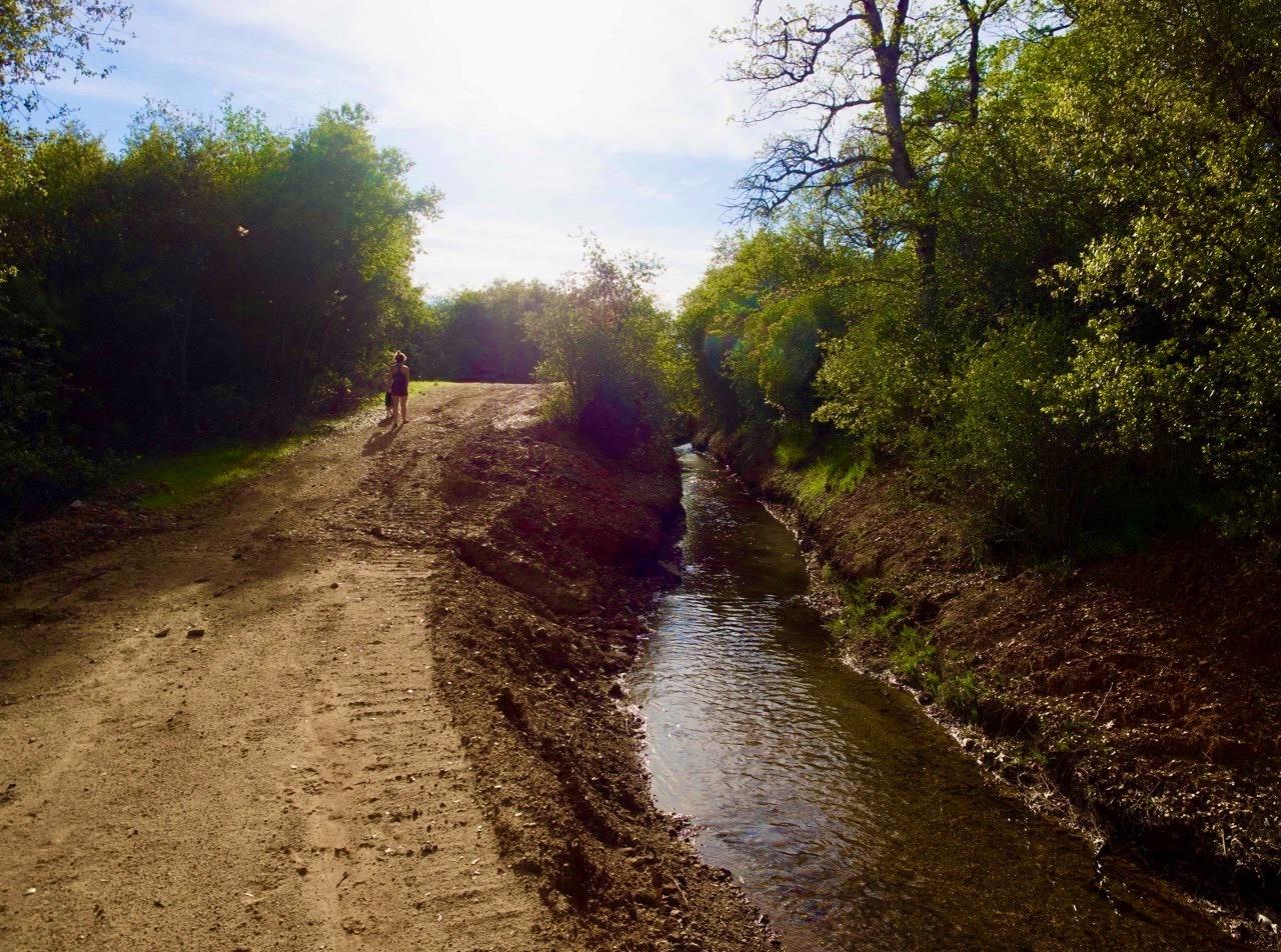 Bonanza Way, Rough and Ready, California image 12