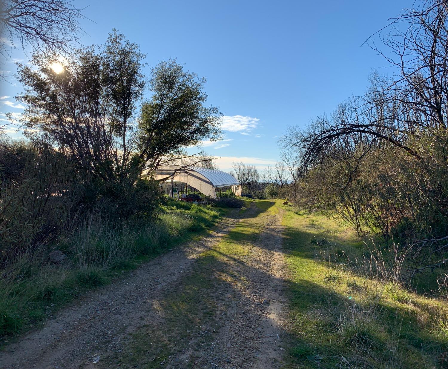 Bonanza Way, Rough and Ready, California image 10