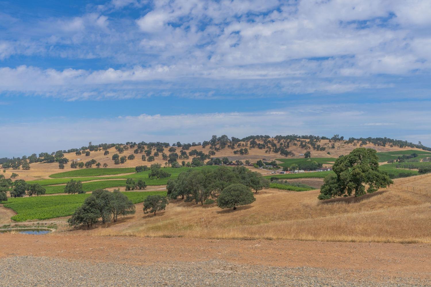 16710 Greilich, Plymouth, California image 17