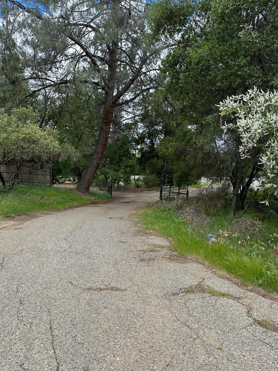 State Highway 49, Mariposa, California image 2
