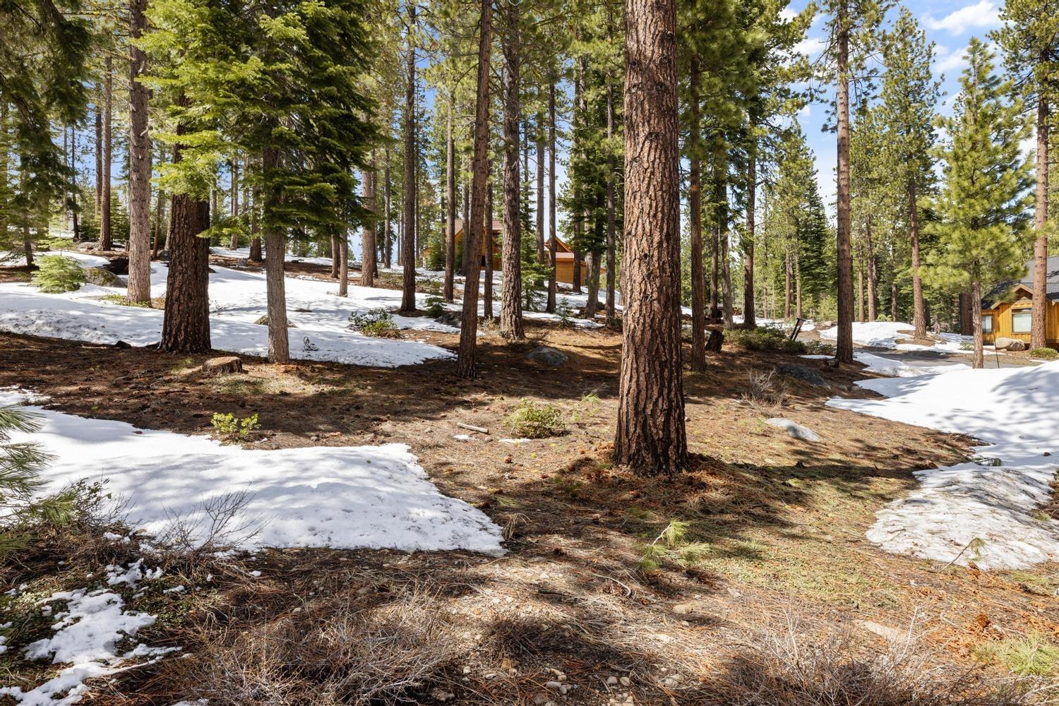 Detail Gallery Image 2 of 22 For 11916 Lamplighter Way, Truckee,  CA 96161 - – Beds | – Baths