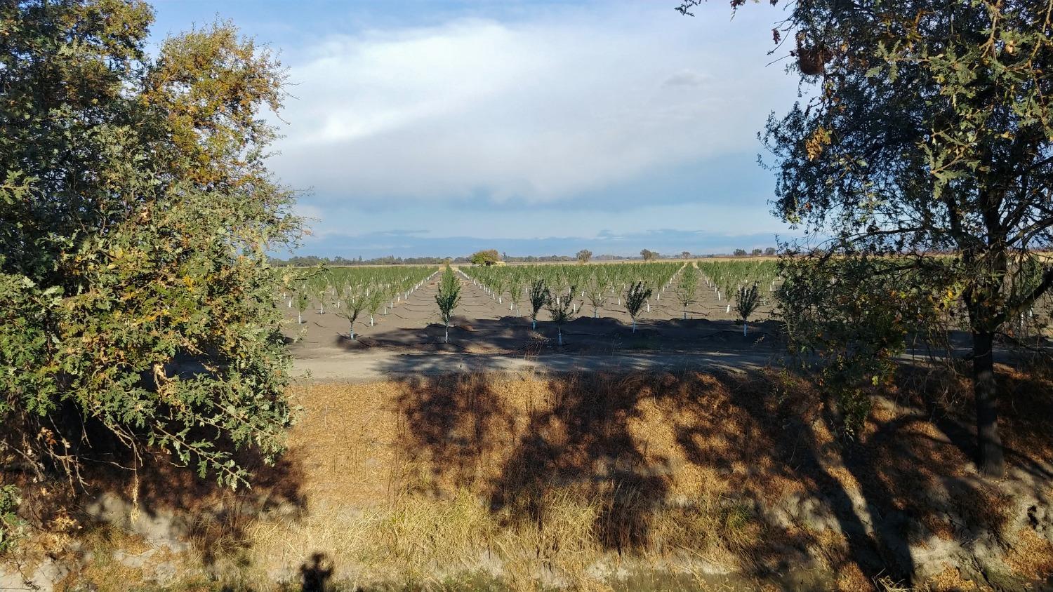 Photo of Paseo Rd in Live Oak, CA