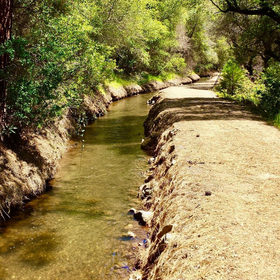 Bonanza Way, Rough and Ready, California image 2