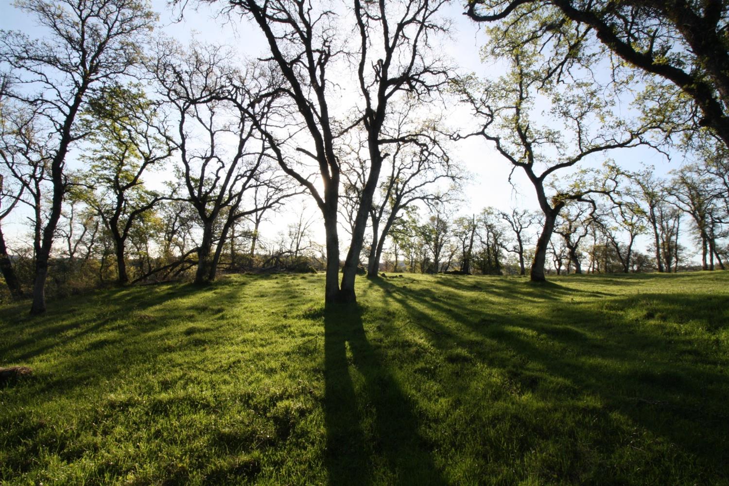 Ranch Dutch Flat Trail, Smartsville, California image 8