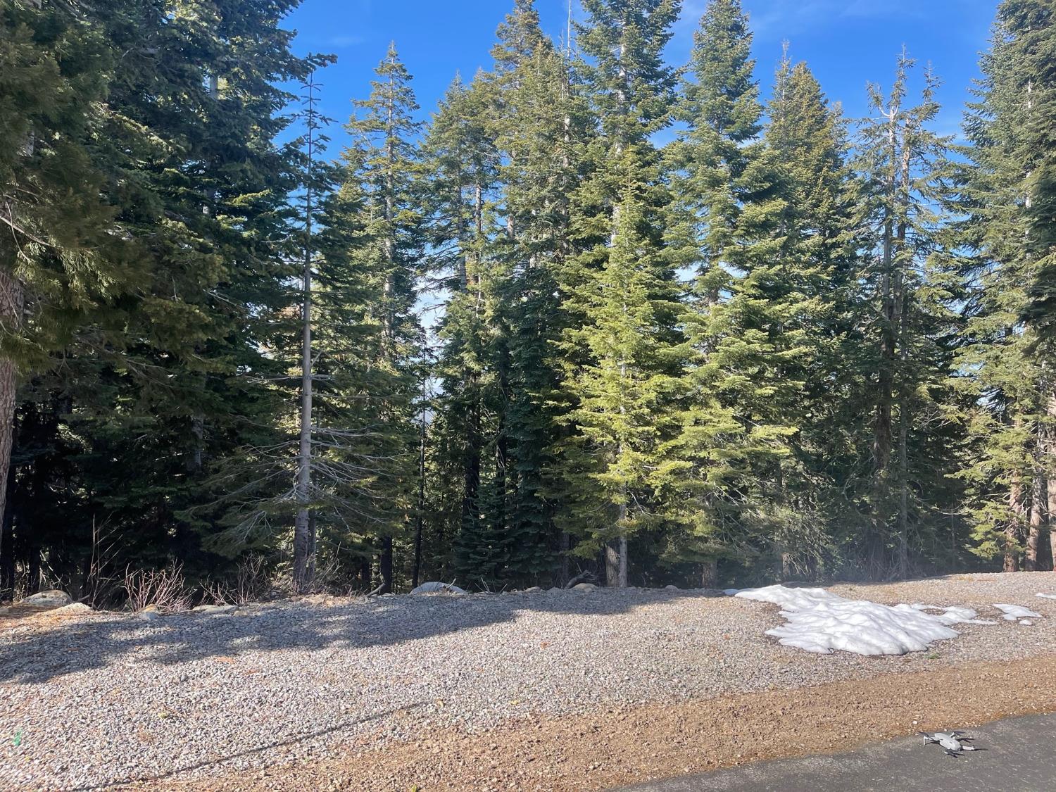 Photo of 12005 Skislope Wy in Truckee, CA