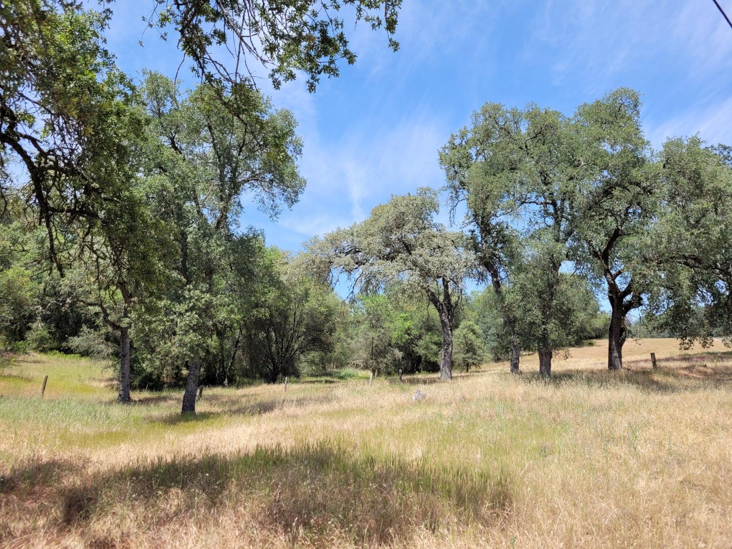 Photo of 5160 Old French Town in Shingle Springs, CA