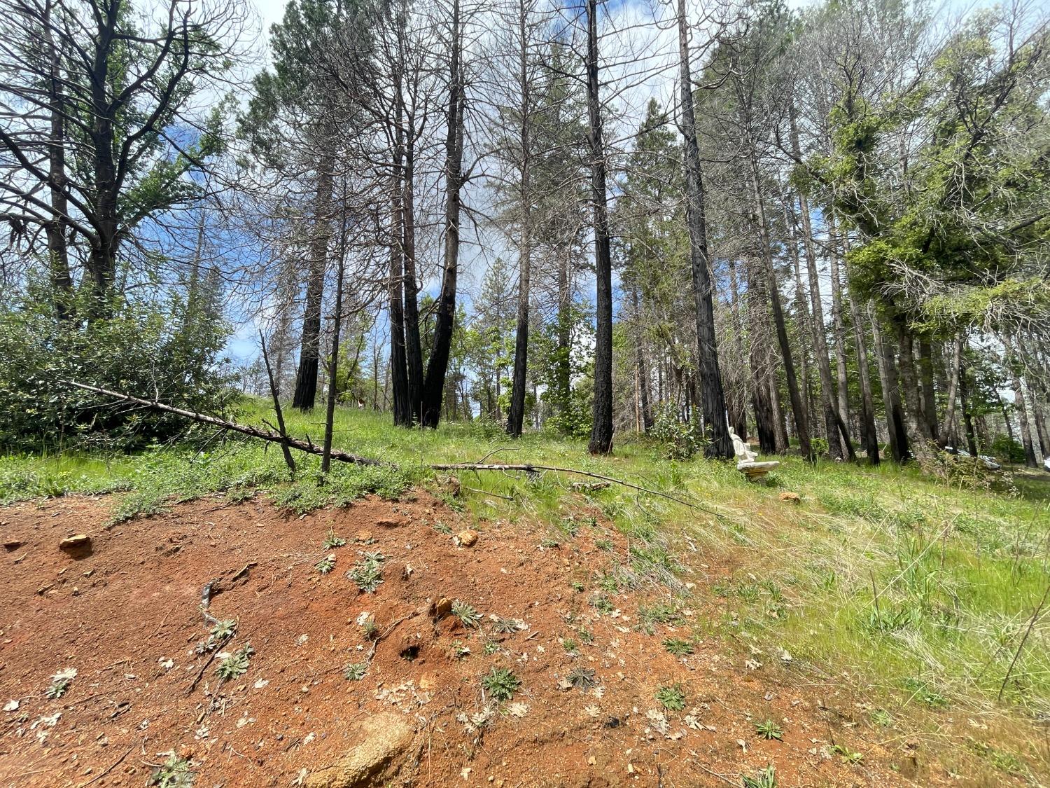 Berryessa Lane, Berry Creek, California image 12