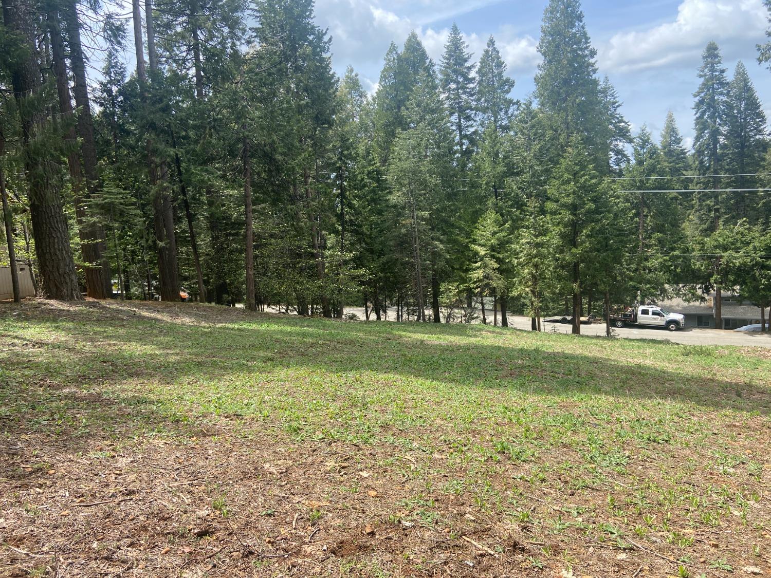 Hazel Street, Pollock Pines, California image 3