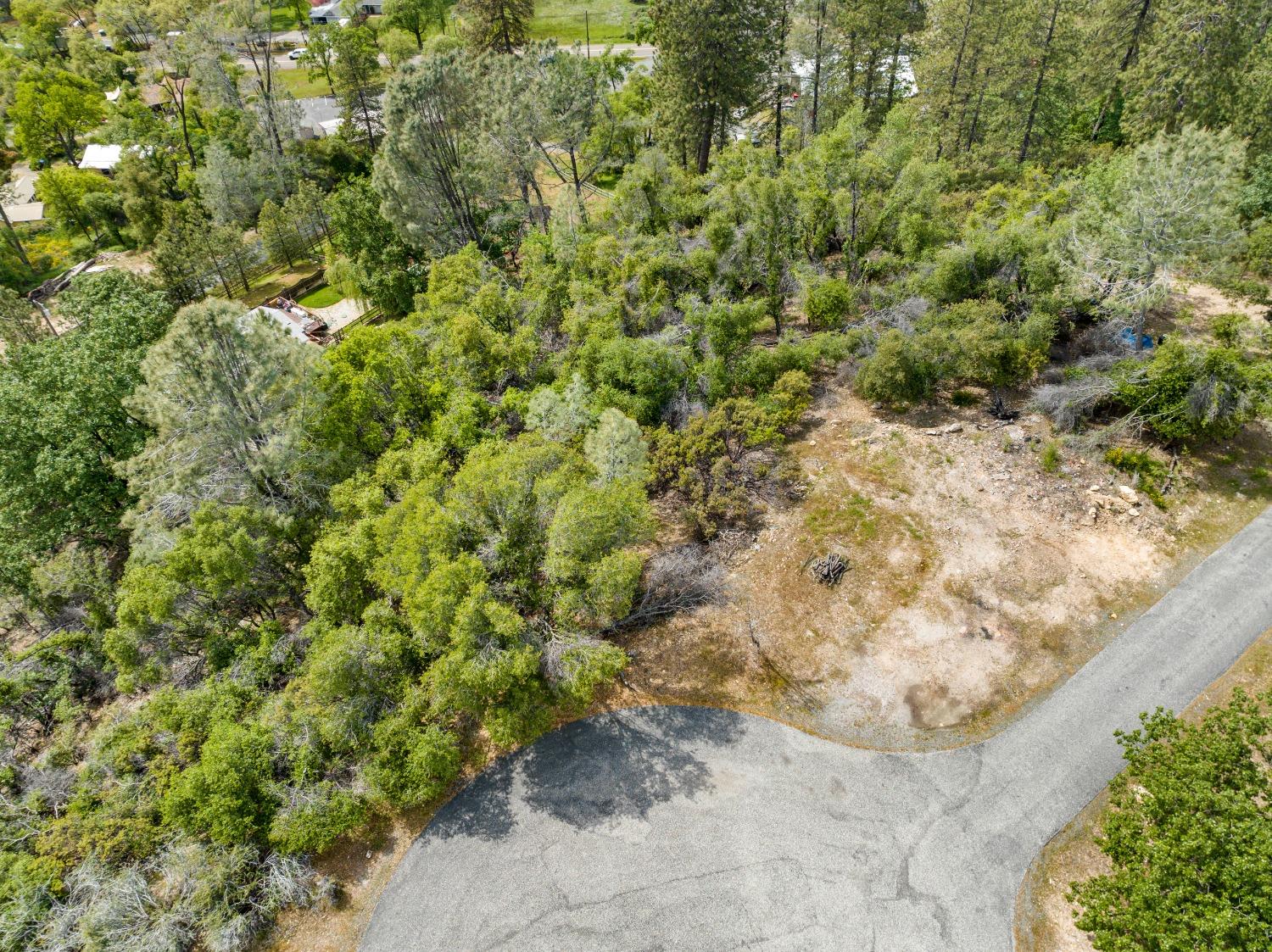 Cuckoo Court, Applegate, California image 30