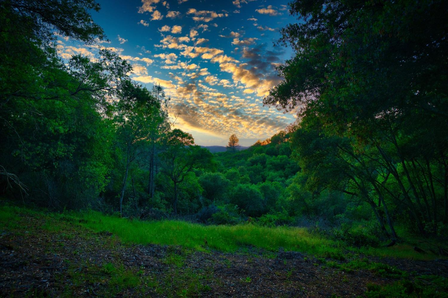 Photo of Baldwin Dr in Placerville, CA