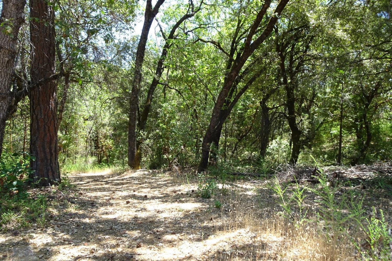 Yuba Nevada Road, Dobbins, California image 3