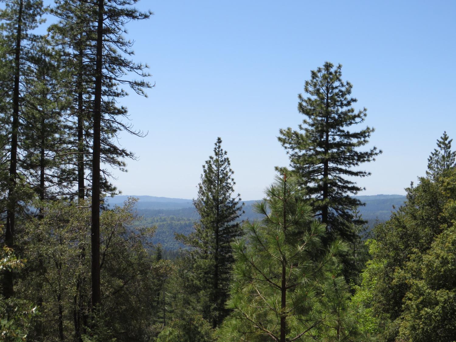 Photo of Golden Arrow Lodge Rd in Gold Run, CA