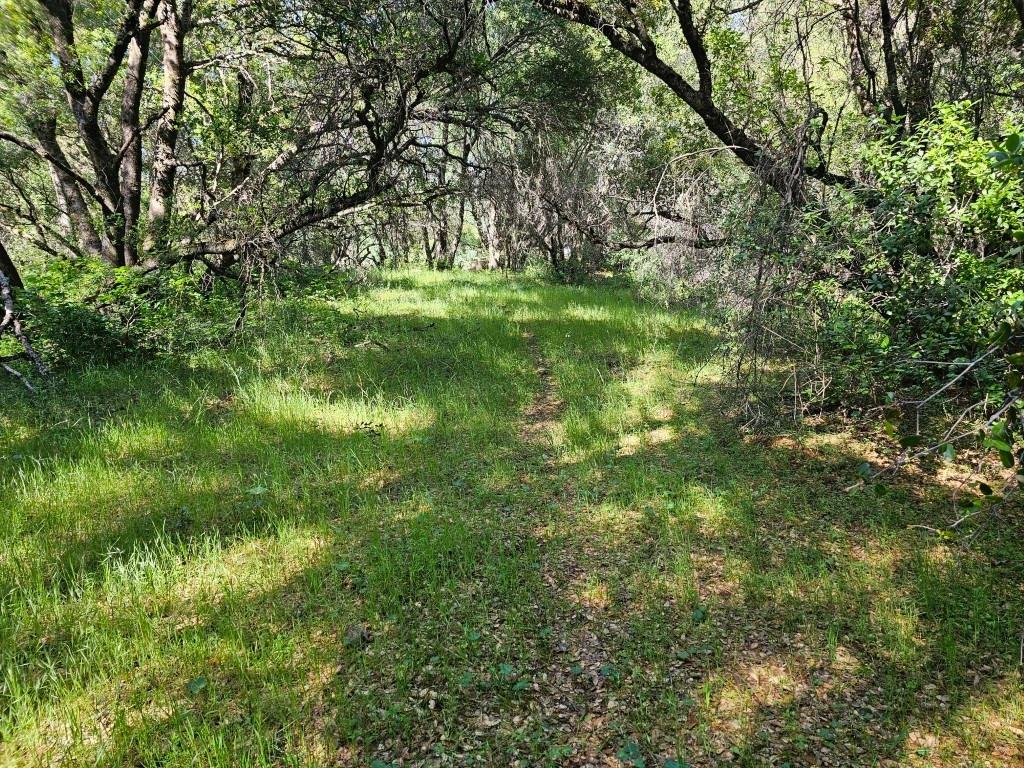 Photo of 14650 Cole Rd in Grass Valley, CA