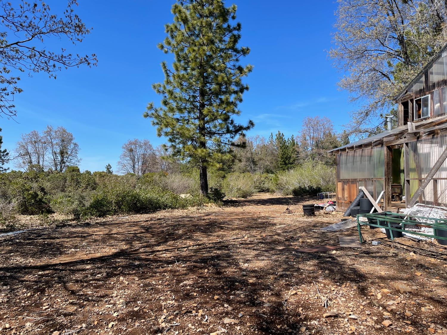 Photo of 34255-A Foresthill Rd in Foresthill, CA