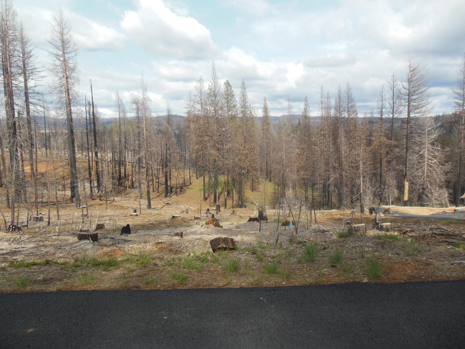 Photo of Mount Pleasant Dr in Grizzly Flats, CA