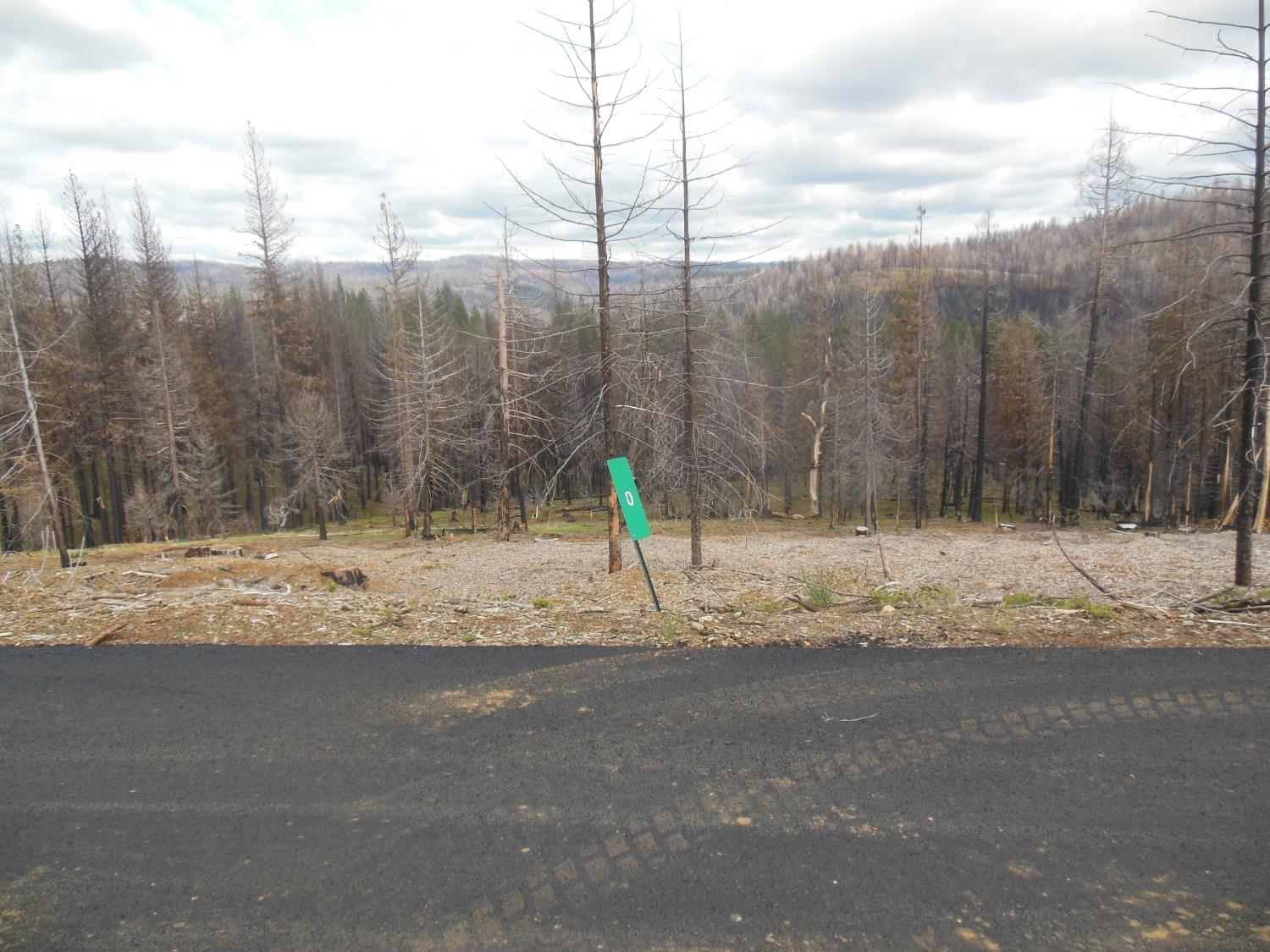 Photo of Mount Pleasant Dr in Grizzly Flats, CA