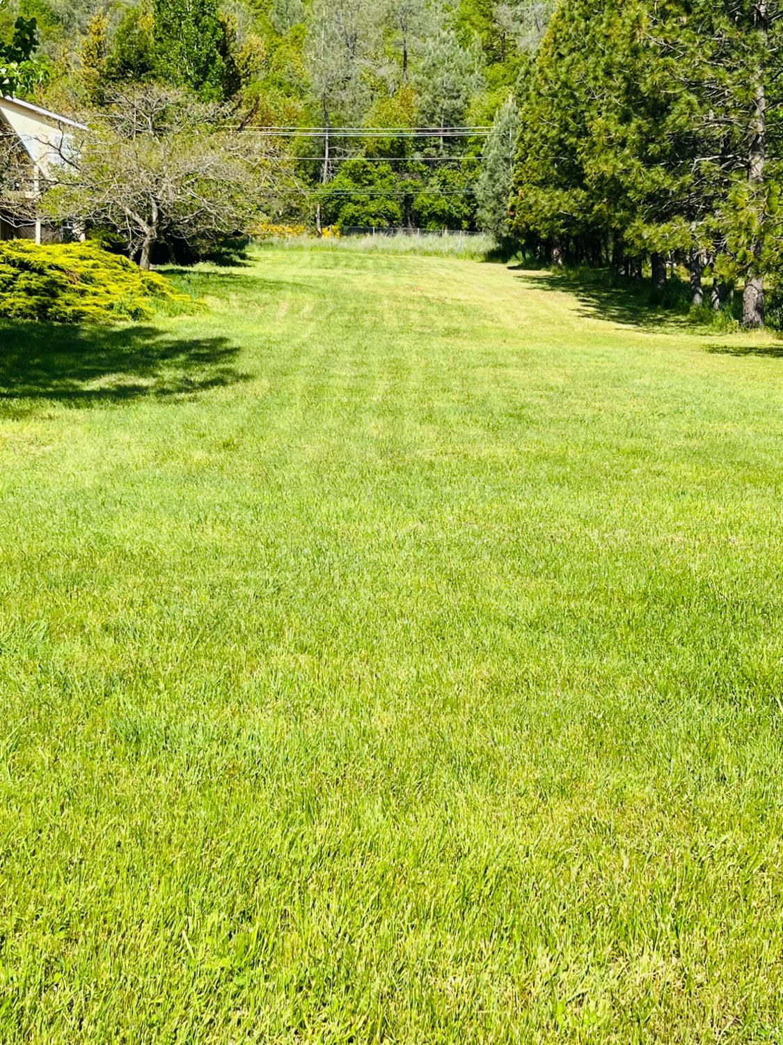 Photo of 13060 Thistle Loop in Penn Valley, CA