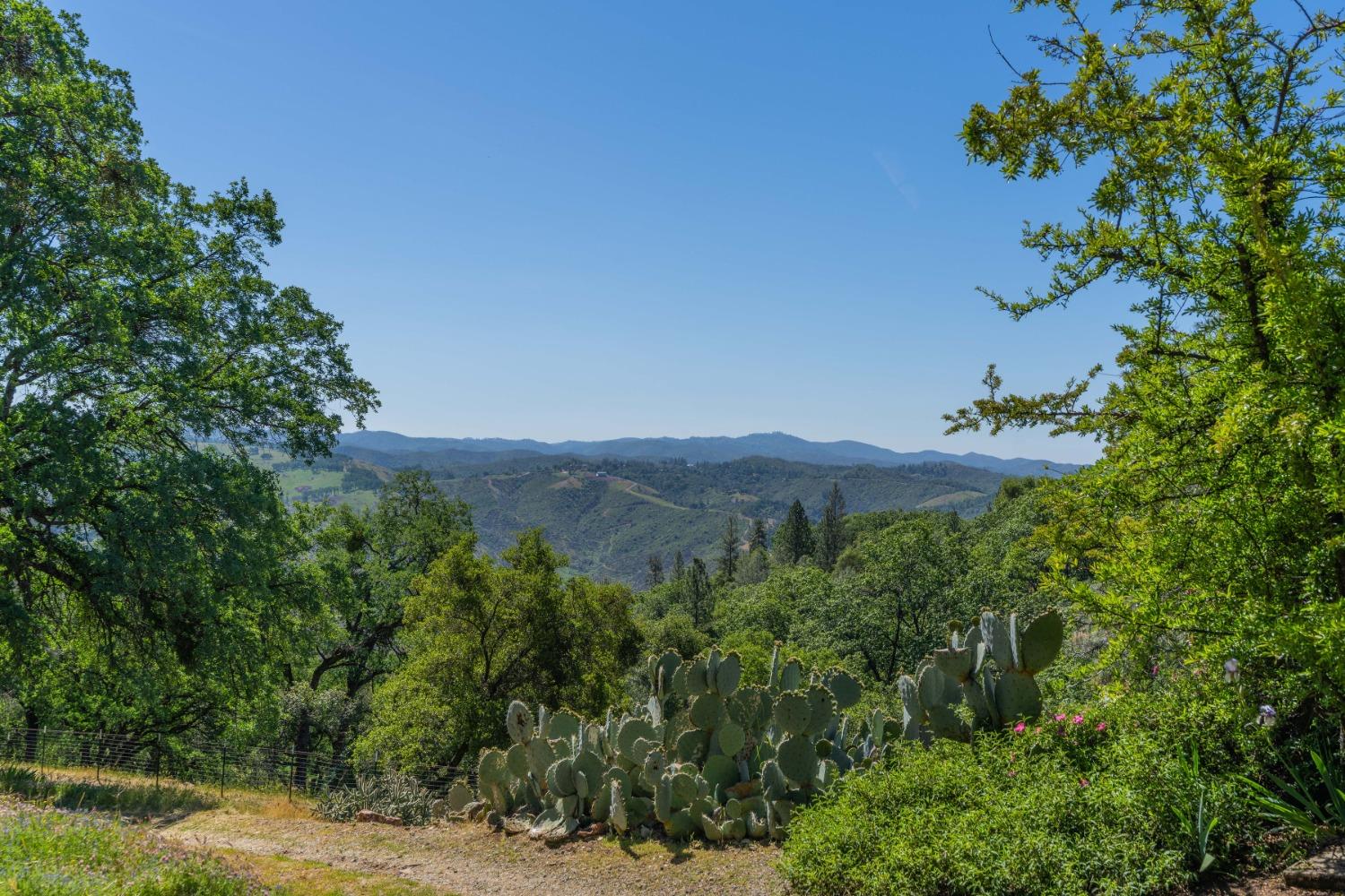 Butte Mountain Road, Jackson, California image 11