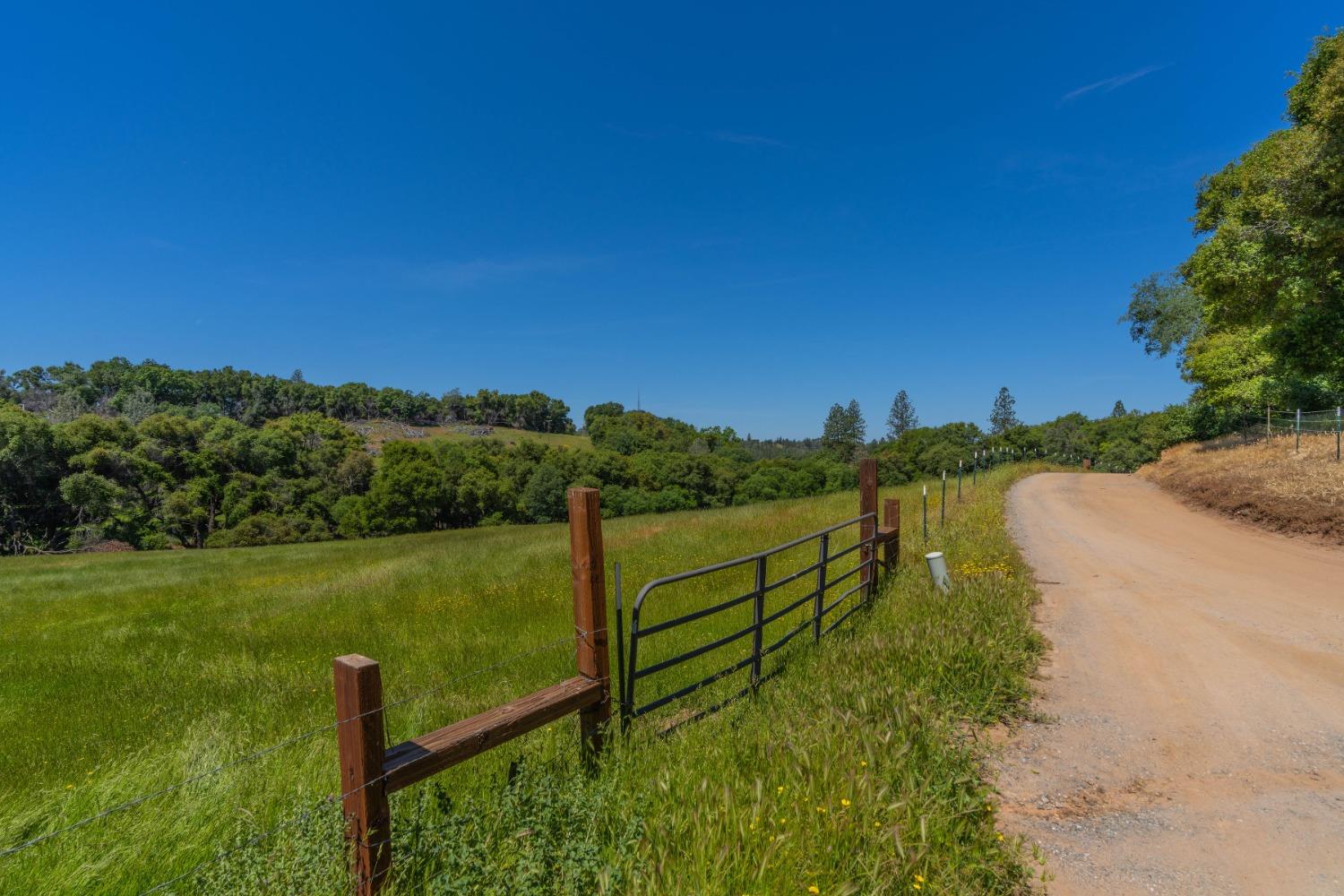 Butte Mountain Road, Jackson, California image 2