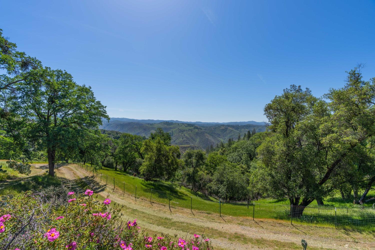 Butte Mountain Road, Jackson, California image 9