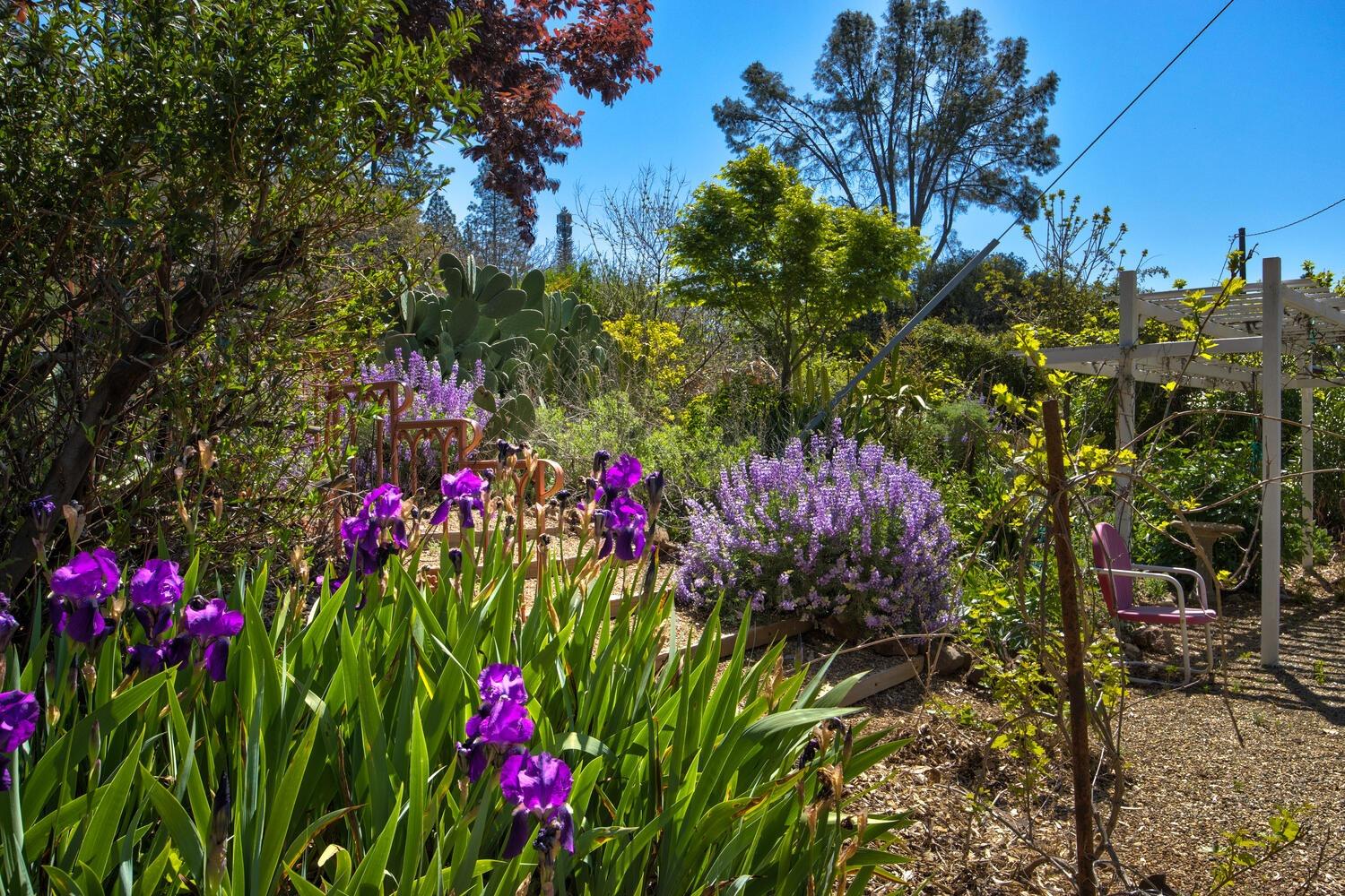 Jesus Maria Rd, Mokelumne Hill, California image 49