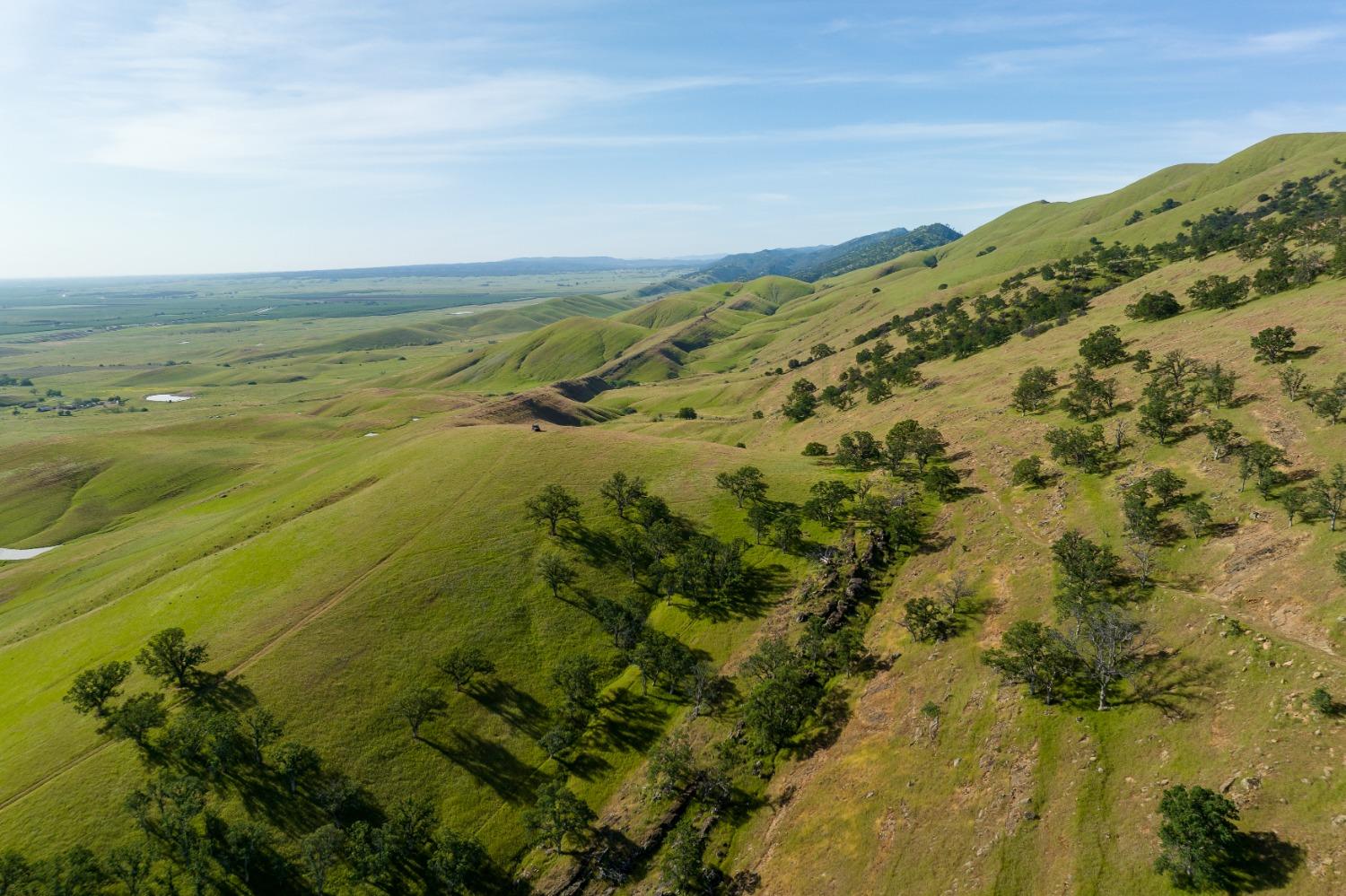 Harlan Road, Williams, California image 17