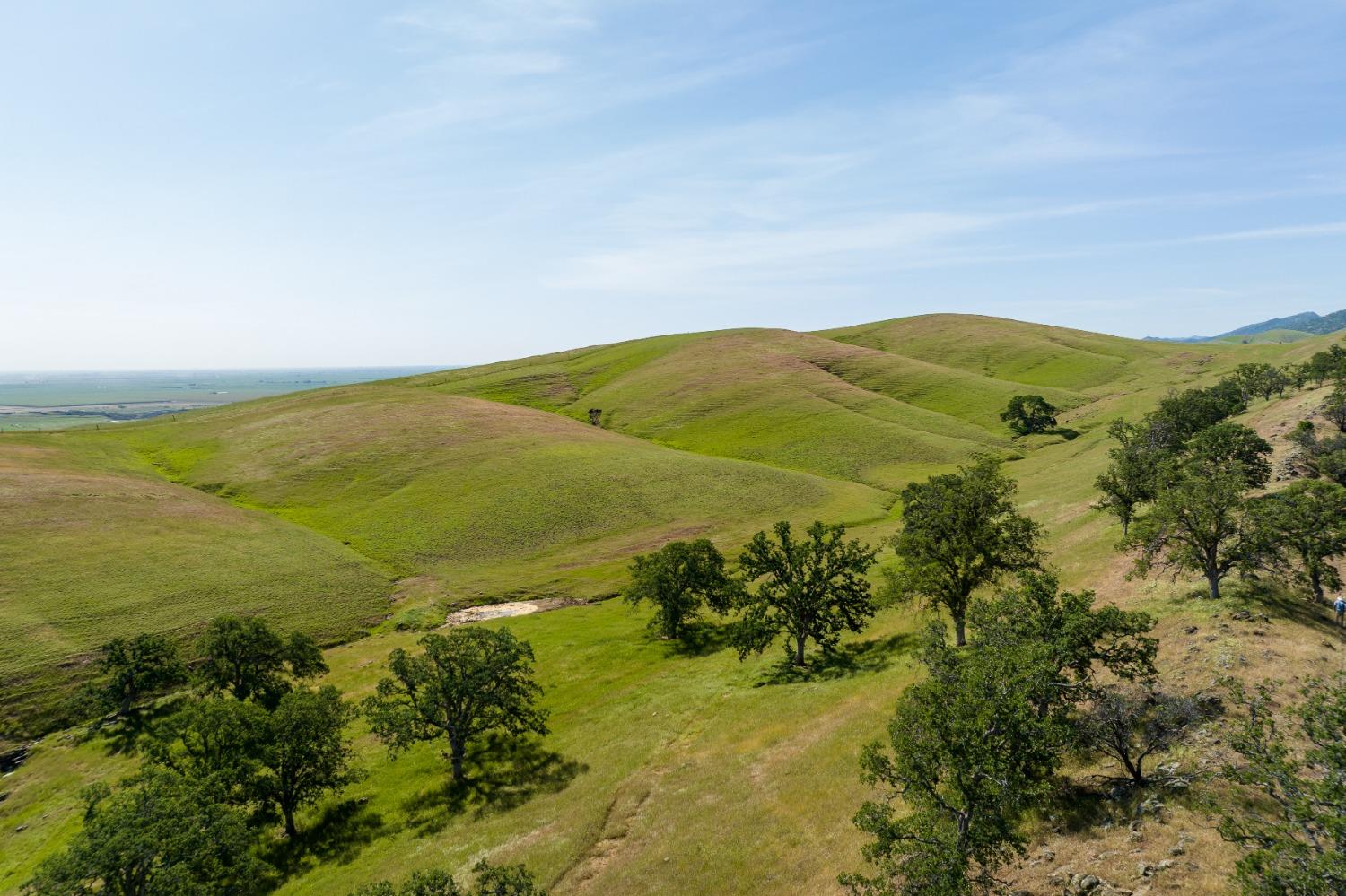 Harlan Road, Williams, California image 20