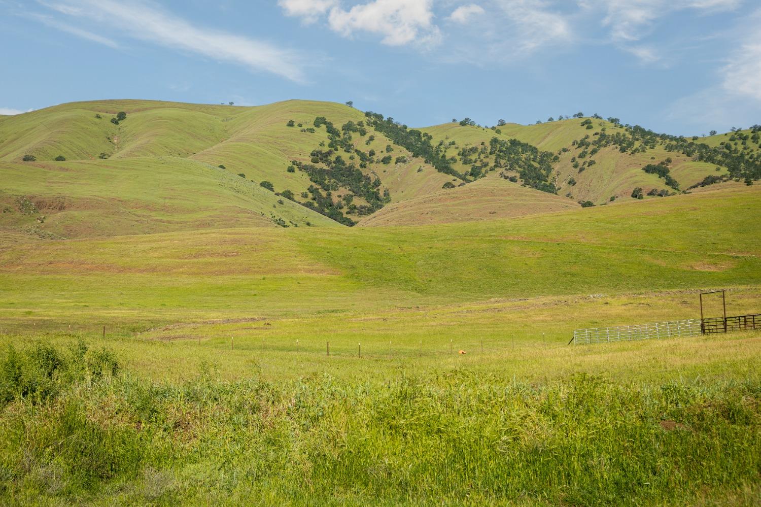 Harlan Road, Williams, California image 3