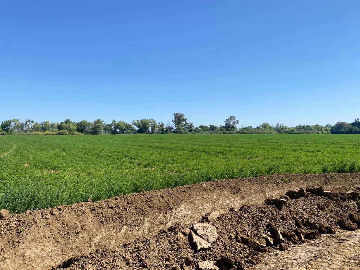 Photo of 0 County Rd 28 in Winters, CA