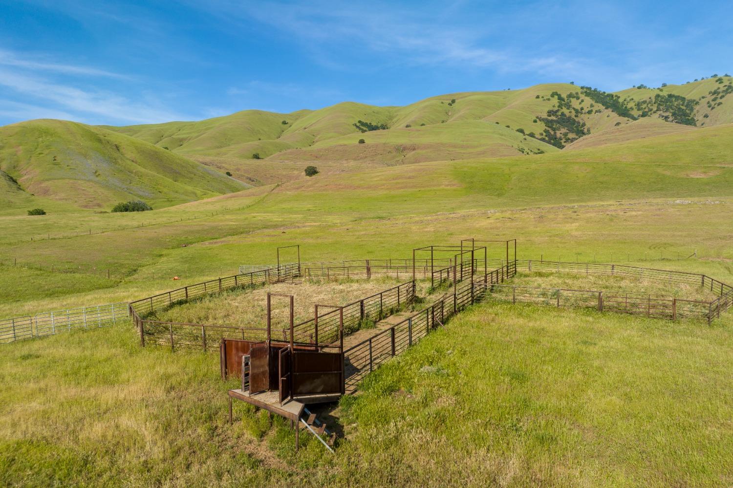 Harlan Road, Williams, California image 5