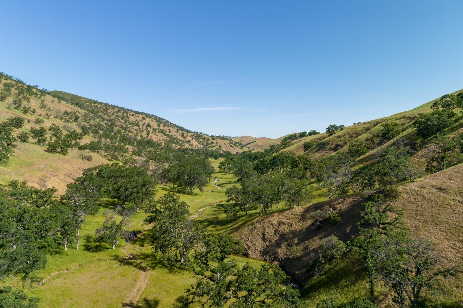 Harlan Road, Williams, California image 19