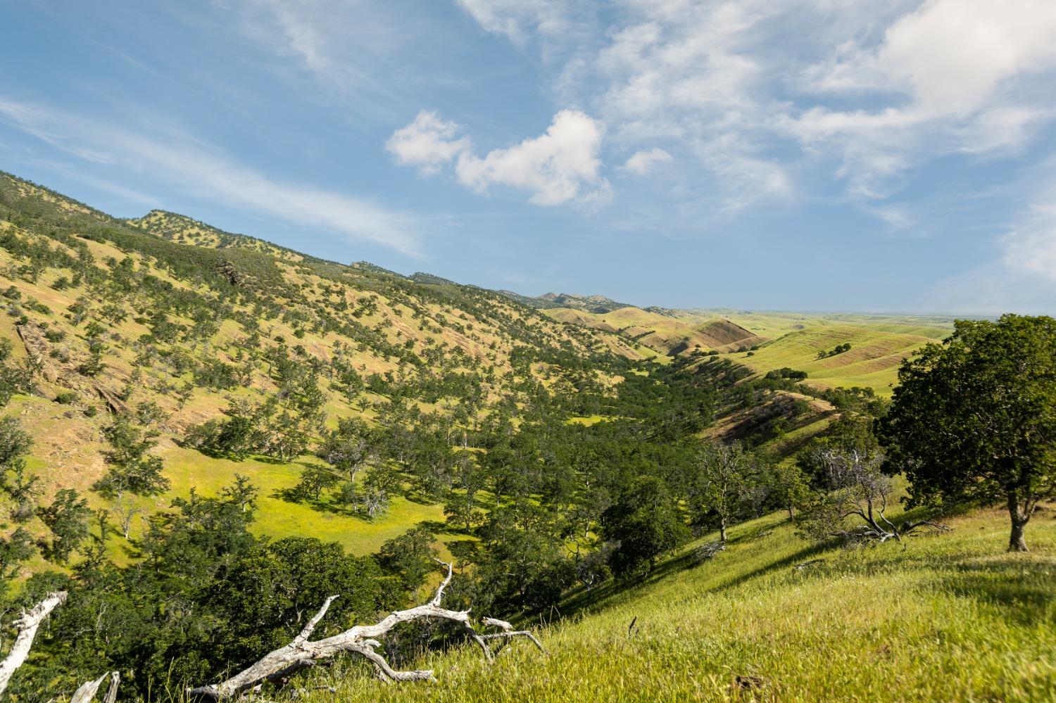 Harlan Road, Williams, California image 6